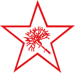 Logo der Kommunistischen Plattform